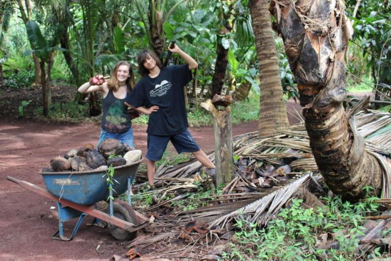 Paradise eco-village Pahoa Esterno foto