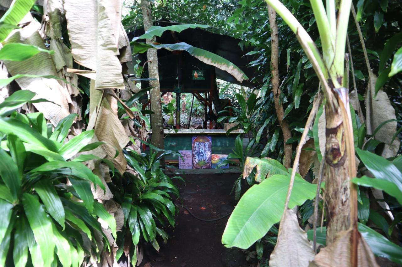 Paradise eco-village Pahoa Esterno foto
