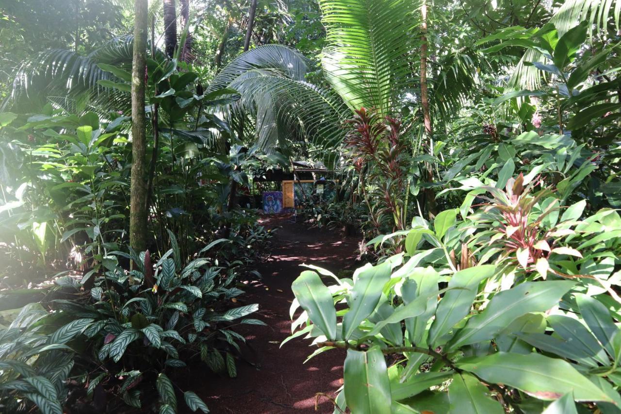 Paradise eco-village Pahoa Esterno foto