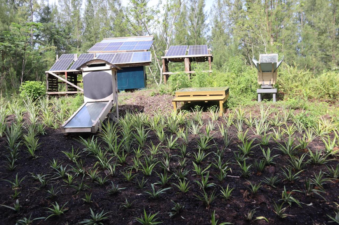 Paradise eco-village Pahoa Esterno foto
